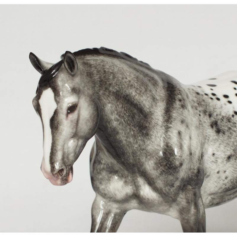 Cowboy Tater, Stock Horse - Grey Blanket Appaloosa