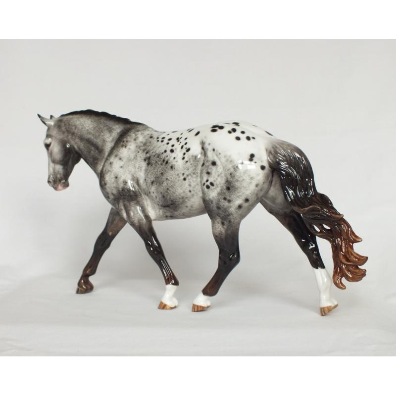 Cowboy Tater, Stock Horse - Grey Blanket Appaloosa