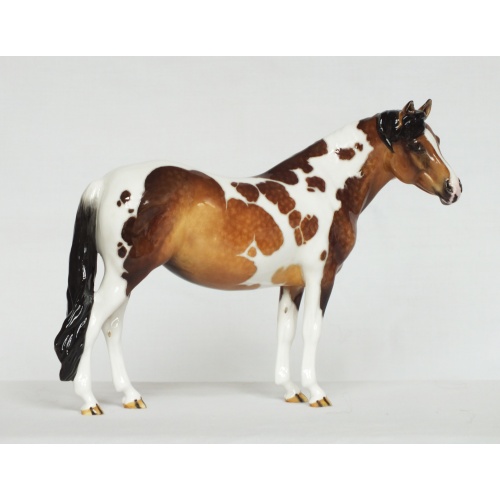 Welsh Pony Mare by Eberl - Buckskin Pinto - Pony