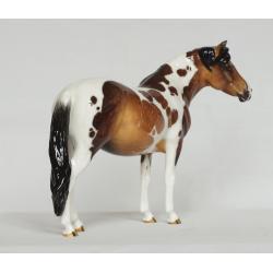 Welsh Pony Mare by Eberl - Buckskin Pinto - Pony